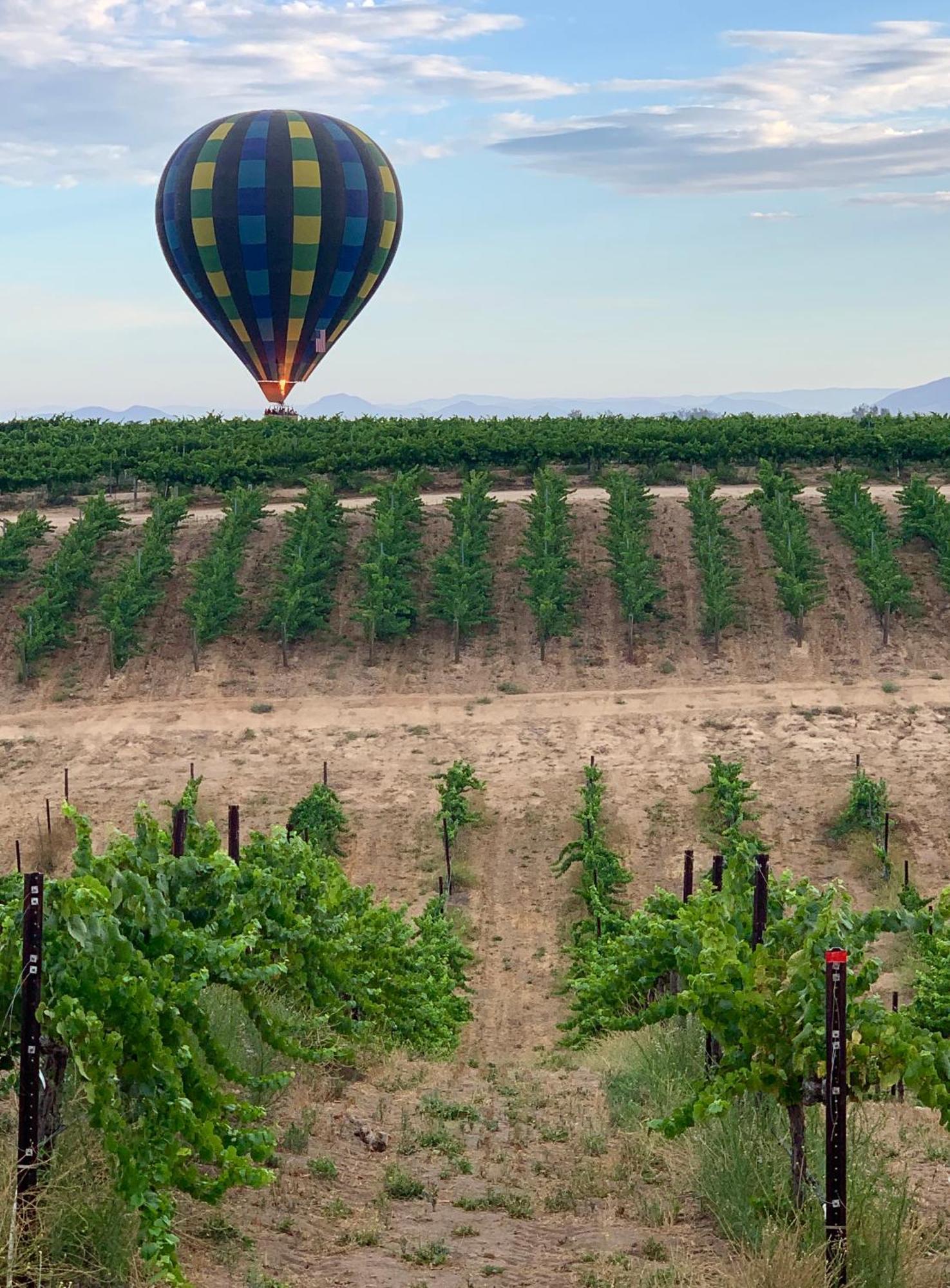 Domaine Chardonnay Bed & Breakfast Temecula Exterior photo